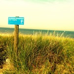 am Strand in Bergen aan Zee