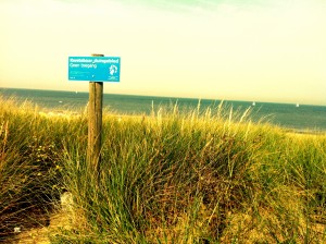 am Strand in Bergen aan Zee